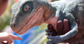 An Infant Dinosaur being physically touched