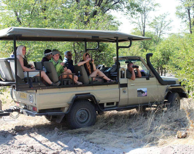 A vehicle with multiple people inside a cart looking at dinosaurs