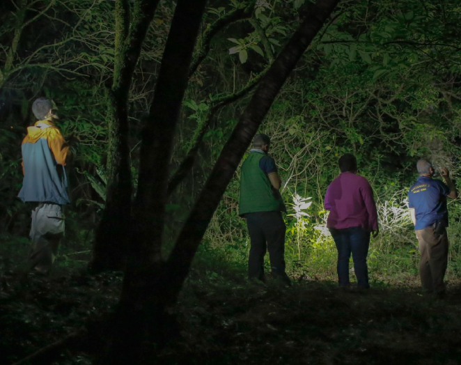 A person inside of a dark forest with a flashlight